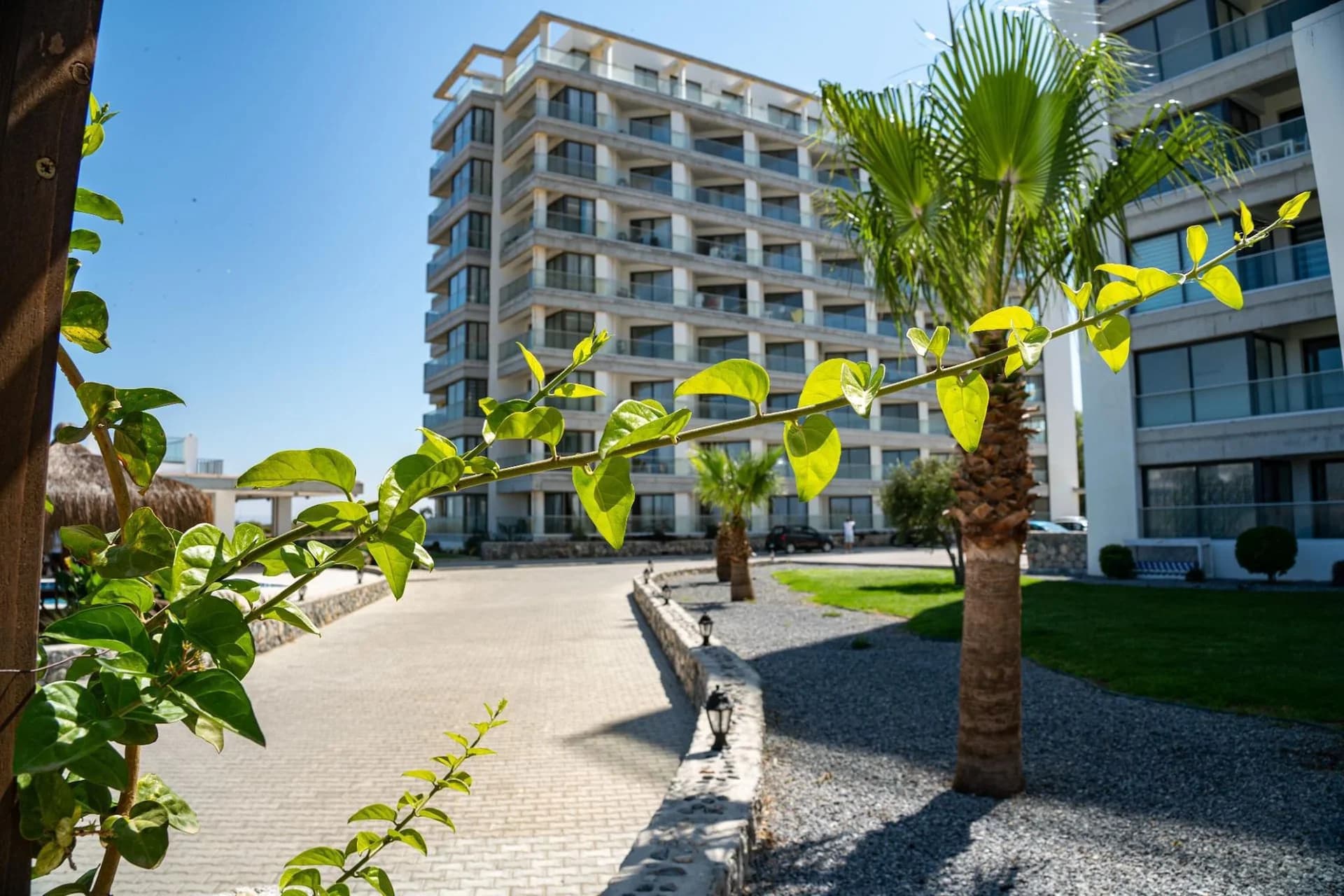 evergreen-215-exterior-9
